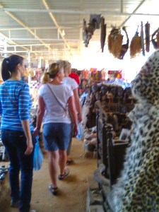 Yes, that is a leopard  skin hang in there!  Poor kitty!