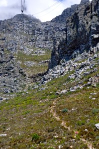 There is a trail to the top for those people with excessive amounts of time and energy. 