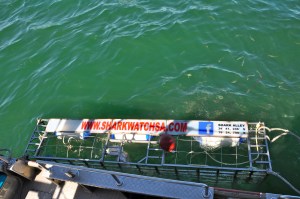 Attaching the cage to the boat.